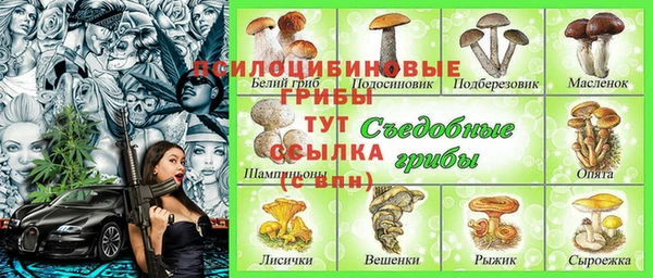 a pvp Алзамай