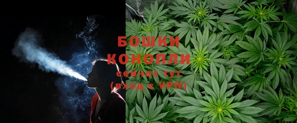 PSILOCYBIN Абинск