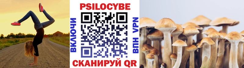 Галлюциногенные грибы мухоморы  Духовщина 